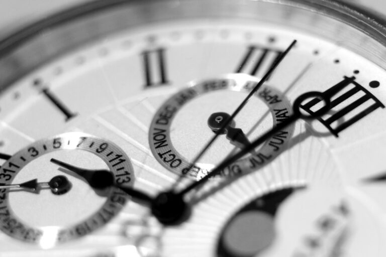Inside the Movement: A Deep Look at Mechanical Mastery